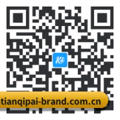 Android 安卓版 二维码